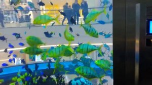 Морской аквариум в ТЦ Океания-cx-E83lzBAw