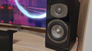 Фронтальные колонки ENERGY C-100 B-1