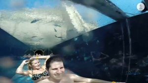 Аквапарк Aquaventure - аттркацион Shark Attack