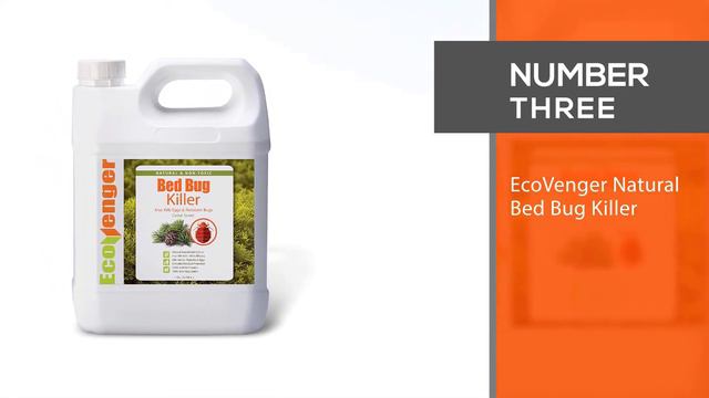 Best Bed Bug Killer for up to 6 Month Insect Control in 2023 [Top 4 Review] смотреть онлайн