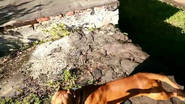 Стафф стаффорд стаффордшир смотреть онлайн