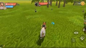 WildCraft эдит рысь