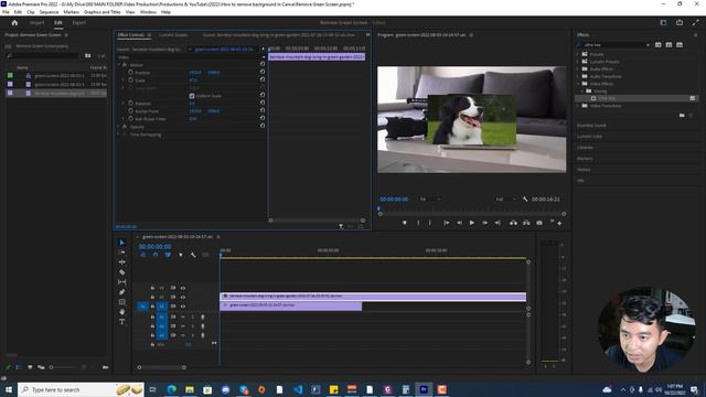 How to Remove Green Screen in Premiere Pro (2022) (EASY)