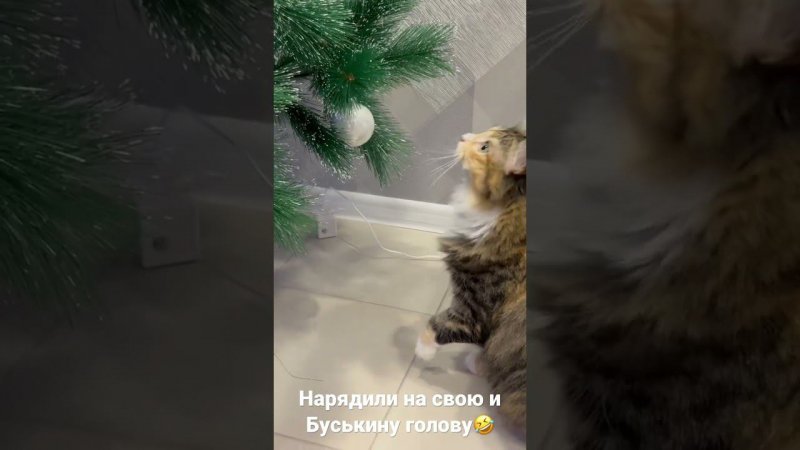 Знакомство Бусинки и елки