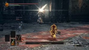 DARK SOULS III. Босс Братья-близнецы. Ковенант Солнца. Себе на память.