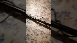 металоискатель мд 5090 обзор