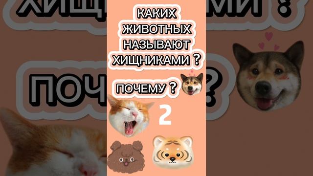 ТЕСТ для ПОЧЕМУЧЕК! ПРОВЕРЯЕМ КРУГОЗОР /5 ЛЕТ смотреть онлайн