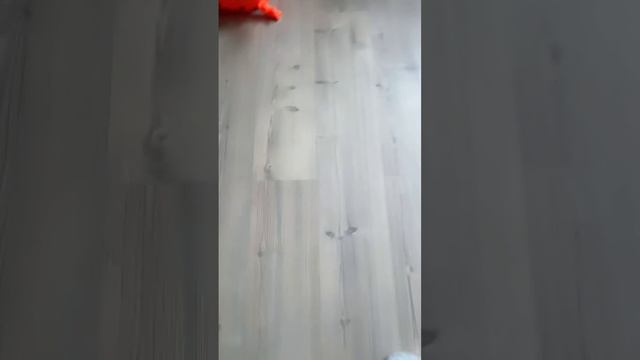 Звезда упала 🔥🔥🔥 #рофл #funny #пранк #прикол #приколы #семья #челендж #лайфхаки #юмор #страх смотреть онлайн