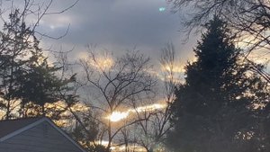 Как пробудить память (генетическую и личную из прошлых жизней)