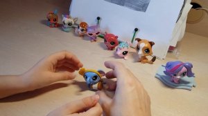 Littlest Pet Shop (LPS) Моя коллекция!