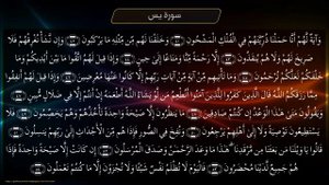 Шейх Идрис Абкар, чтение сура Ясин,  Ма Шаа Аллах,