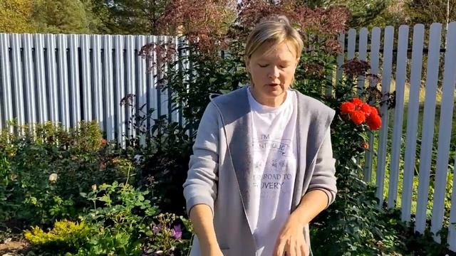 И СЕРДЦЕ БИТЬСЯ ПЕРЕСТАЛО...❤️? Посылка с розами от Маши Харченко.?❤️28 сентября 2023 г. смотреть онлайн