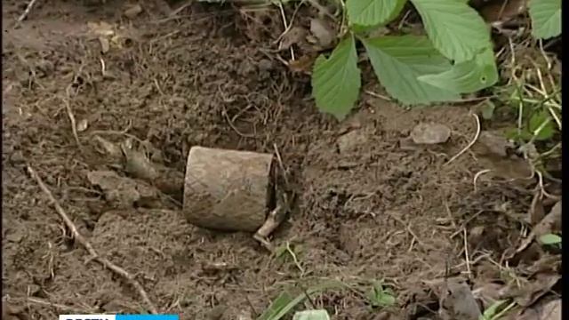 Останки 2 красноармейцев обнаружены в Петрозаводске смотреть онлайн