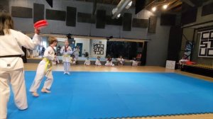 Taekwondo: White Belt and Yellow Belt Testing