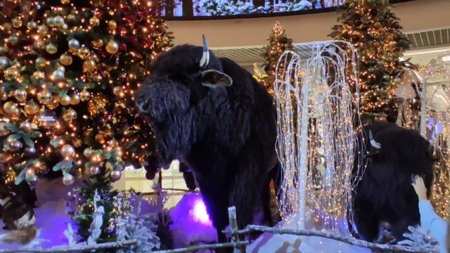 Ёлка в Дана-Молл, Минск, декабрь 2021-го года. смотреть онлайн