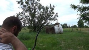 Лук из рога и сухожилии на натуральном клее