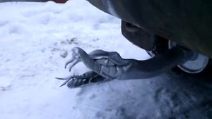 выхлопная труба голова змеи насадка на глушитель