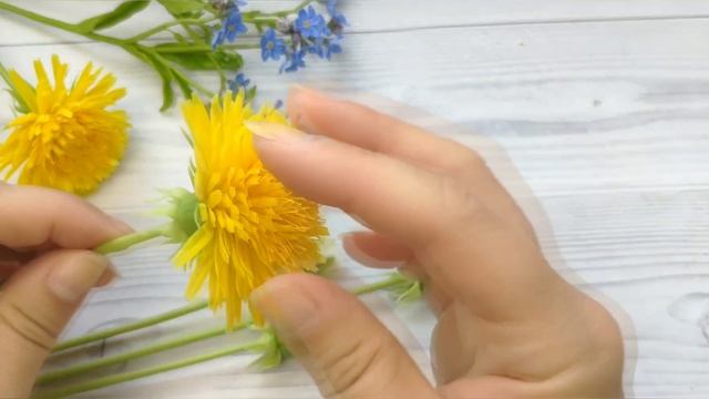 Мастер класс по лепке одуванчиков из холодного фарфора смотреть онлайн