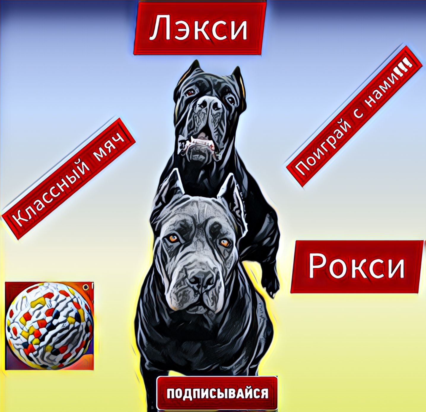Две Кане-Корсо играют с мячом!Собака Кане-Корсо.