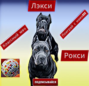 Две Кане-Корсо играют с мячом!Собака Кане-Корсо.