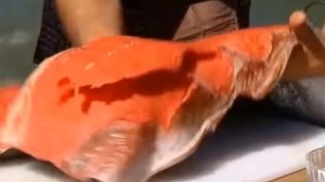 Рыба Чавыча и ее приготовление, видео