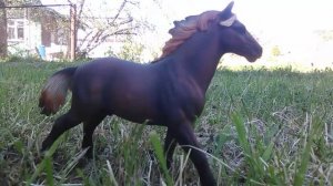 Как я фотографирую лошадок шляйх