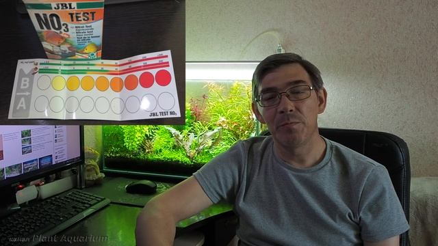 Профилактика и методы борьбы с водорослями в растительном аквариуме
