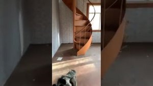 Заброшенный лагерь на партизанской поляне Брянск