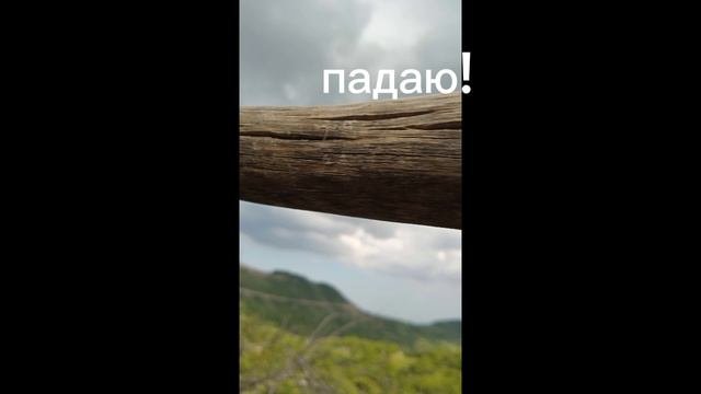 жизнь жука