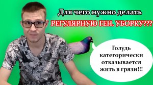 Для чего нужна уборка? Зачем нужна регулярная уборка в помещении? Какие плюсы уборки?