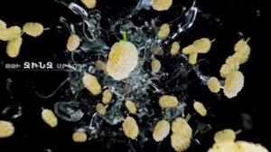 Էլենի օրագիրը 2/Eleni Oragir 2 - Սերիա 63