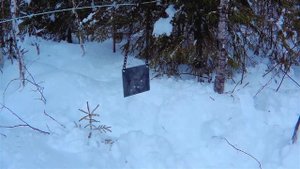 Сайга 5,45 и пластина 6 мм