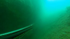 подводная охота в черном море на Горбыля 2018!