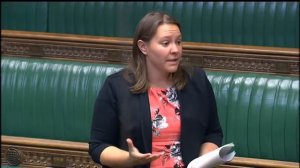 Marion Fellows MP in UK Steel Industry Debate in House of Commons