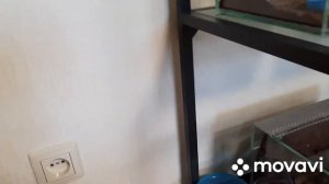 Обзор стеллажа ИКЕА ВИТШЁ IKEA VITTSJÖ. Террариумная стойка Икеа. #икеа #икея #ikea #стеллаж