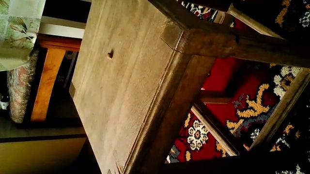 йоркширський терєр. Жужа. 6 міс. Добуває їжу))) смотреть онлайн