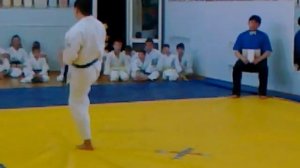 Киокушинкай карате. Ката 2