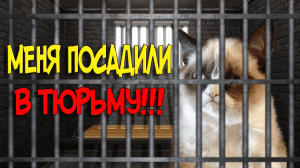 Тюремная жизнь ► О чем был The Long Dark эпизод «Ярость, затем тишина»