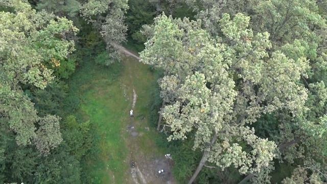 ДРОП ТЕСТ COCA-COLA с 13 ЭТАЖА ?! Drop test 40 m. смотреть онлайн