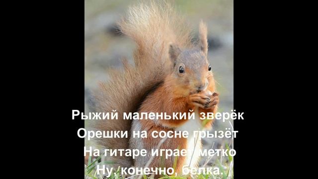 Лесной оркестр смотреть онлайн