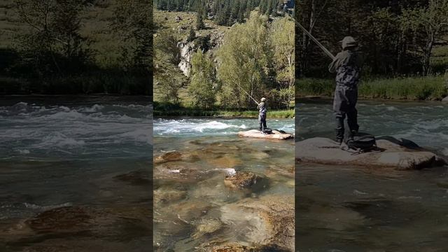 горный Алтай #shorts смотреть онлайн