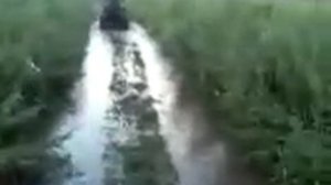 покатушки на patron country 250