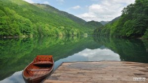 5. Аудио урок для взрослых дифференциация звук Р - Рь.