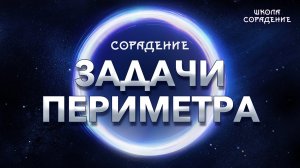 Сорадение.  Задачи Периметра. #Сорадение #ЗадачиПериметра #Весталия #школаCорадение