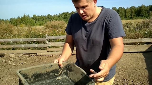 Никогда не замачивай комбикорм для свиней. Вьетнамские свиньи смотреть онлайн