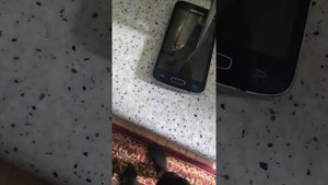 разбивание телефона