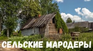 Страшная история. Сельские мародеры.