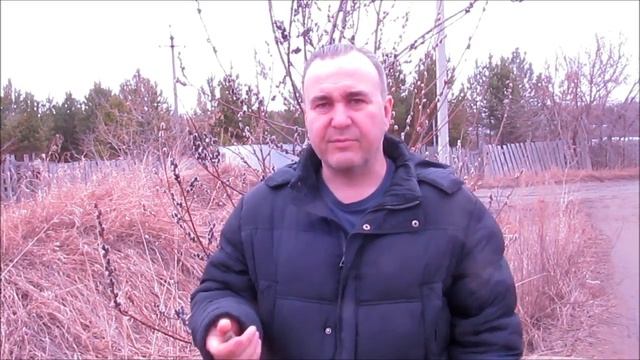 где ловить рой пчел. куда ставить ловушки для пчел. пасека Бакшиш. пчеловодство на Урале