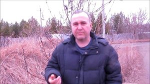 где ловить рой пчел. куда ставить ловушки для пчел. пасека Бакшиш. пчеловодство на Урале