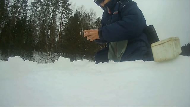 МЕГА УЛОВИСТАЯ БЕЗМОТЫЛКА. Не у кого не клюёт, а я ловлю! - Болен Рыбалкой №408